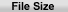 File Size
