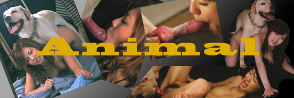 animal